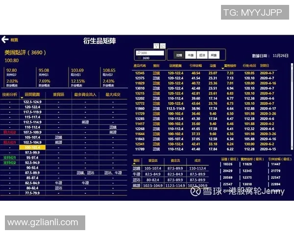 杭州羽毛球队在杯赛中的技术表现分析与点评